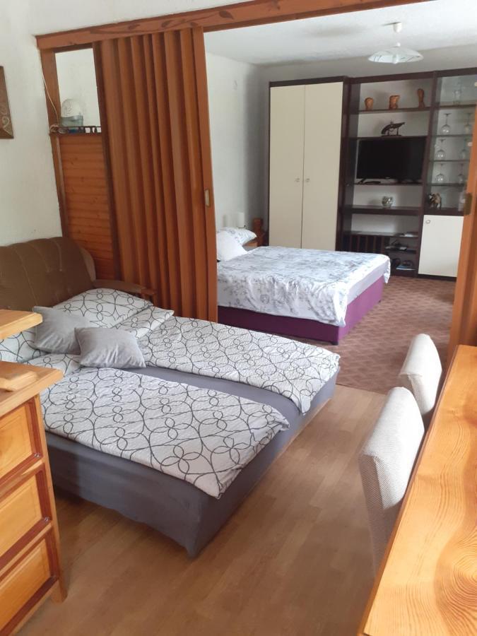 Sokol Apartment Ogulin Exterior foto